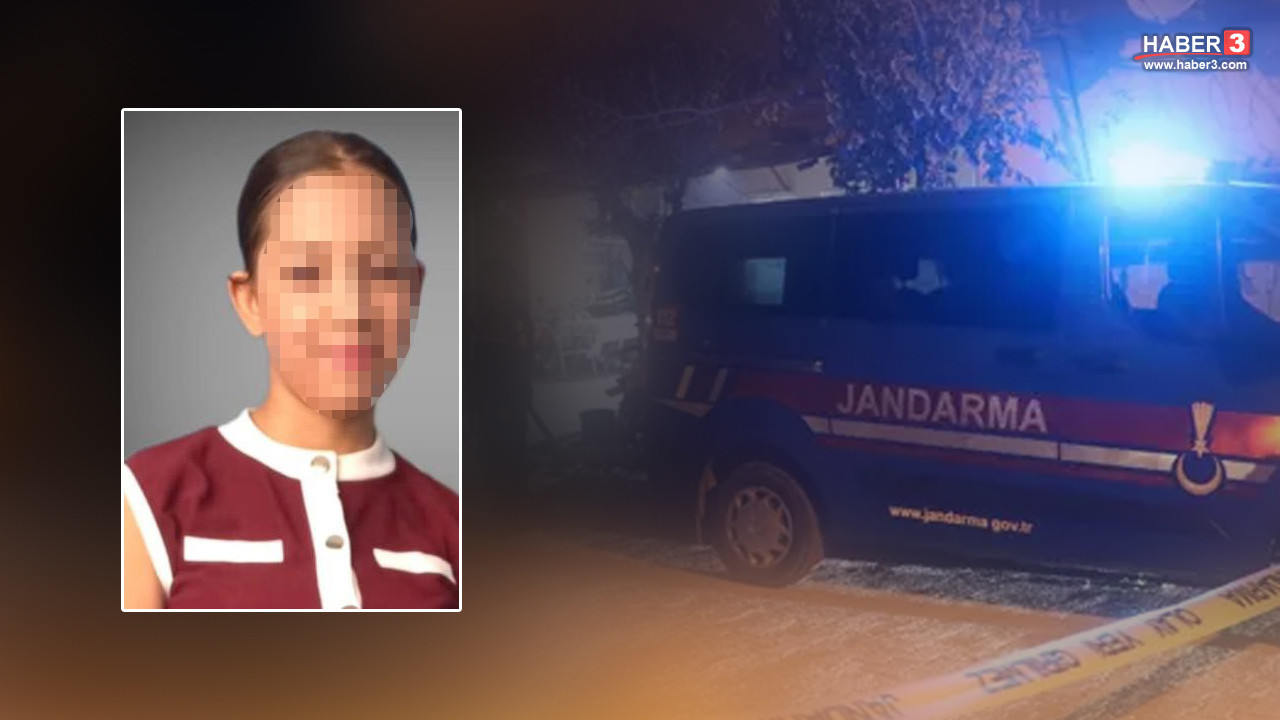 Jandama adım adım iz sürdü: İstanbul'da kaybolan küçük kız yüzlerce kilometre uzakta bulundu