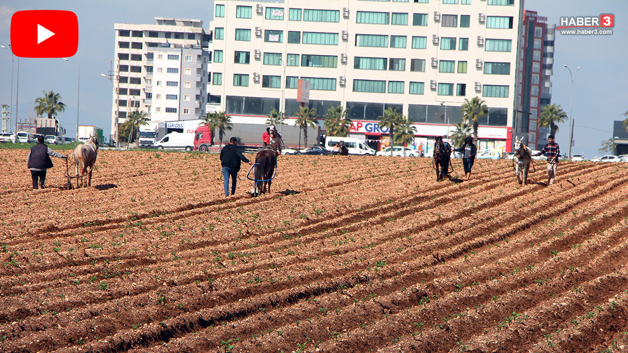 Servet değerindeki teklifleri reddettiği için destek görmüştü; bu sefer tepkilerin hedefi oldu