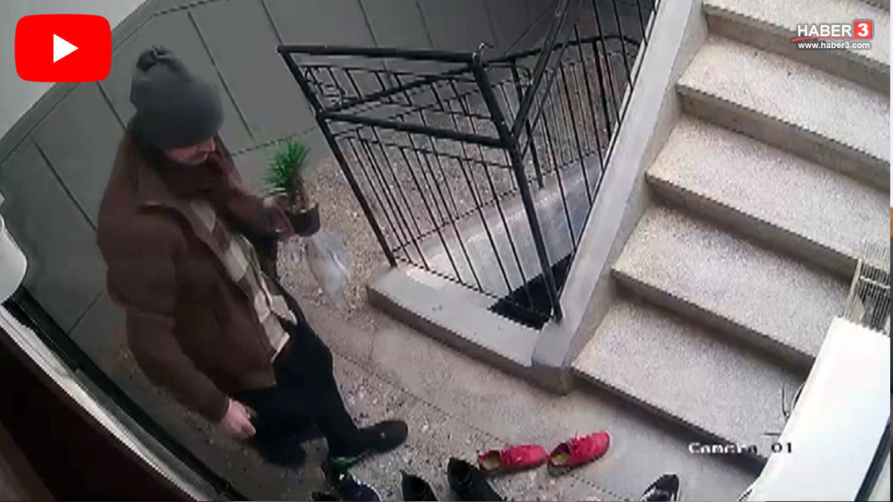 Bu da marka takıntılı hırsız... Hırsızlık mağdurunun açıklamaları kırıp geçirdi