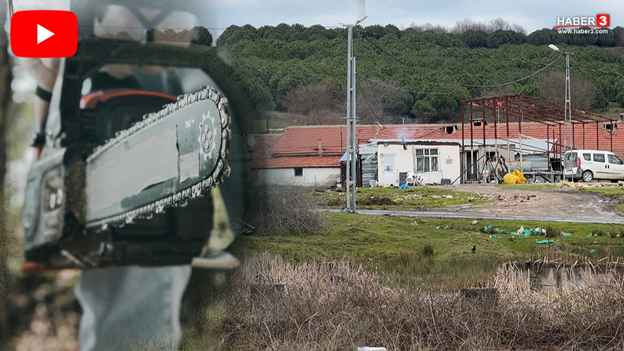 İstanbul'da testereli dehşet! İşçisinin boynunu kesti, ormana kaçtı: Dronla yakalandı!