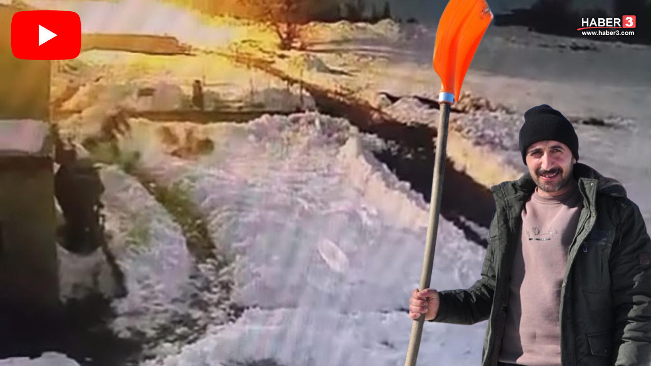 Eli kürekli vatandaş, aç kurtları köye indiklerine pişman etti