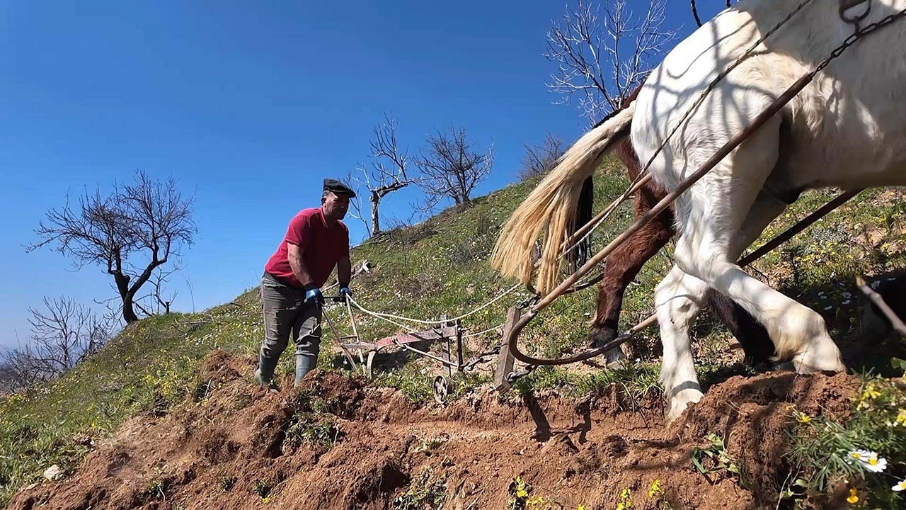 Günlük 8 bin TL yevmiye var, işçi yok! Kimse bu işin yüzüne bakmıyor