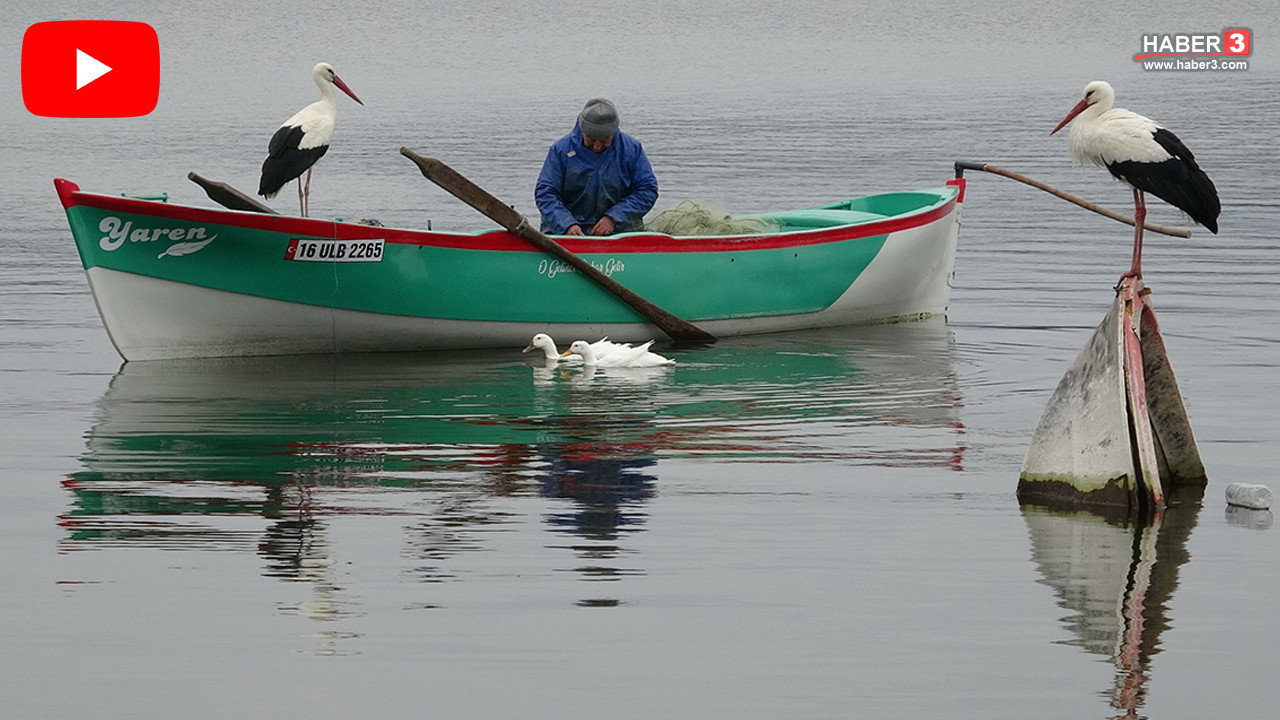 Yaren Leylek bu yıl da yuvada: Adem Amca ile 15 yıllık efsane buluşma gerçekleşti