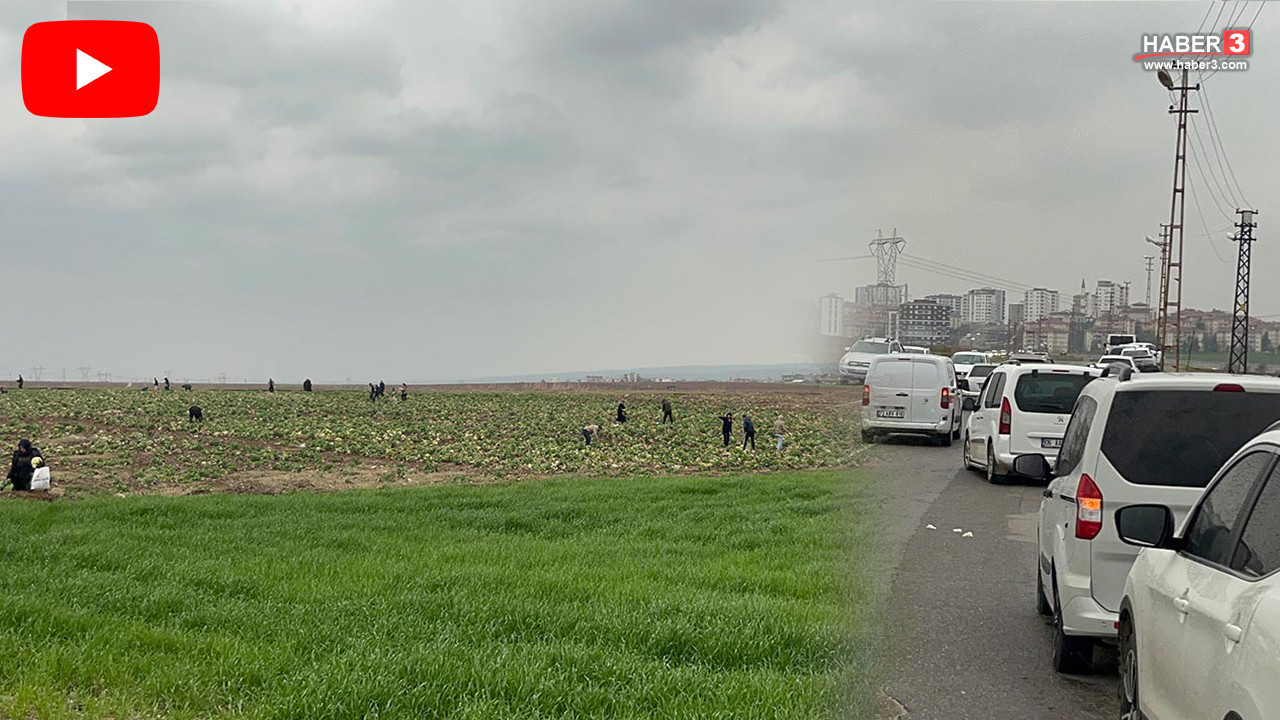 Yağmur onları durduramadı! Bedava olduğunu duyan koştu, bagajlar ağzına kadar dolduruldu