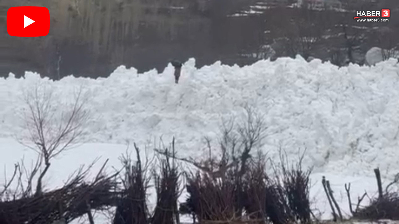 Hakkari'de çığ köyün sınırında durdu: Bir köy facianın eşiğinden döndü!