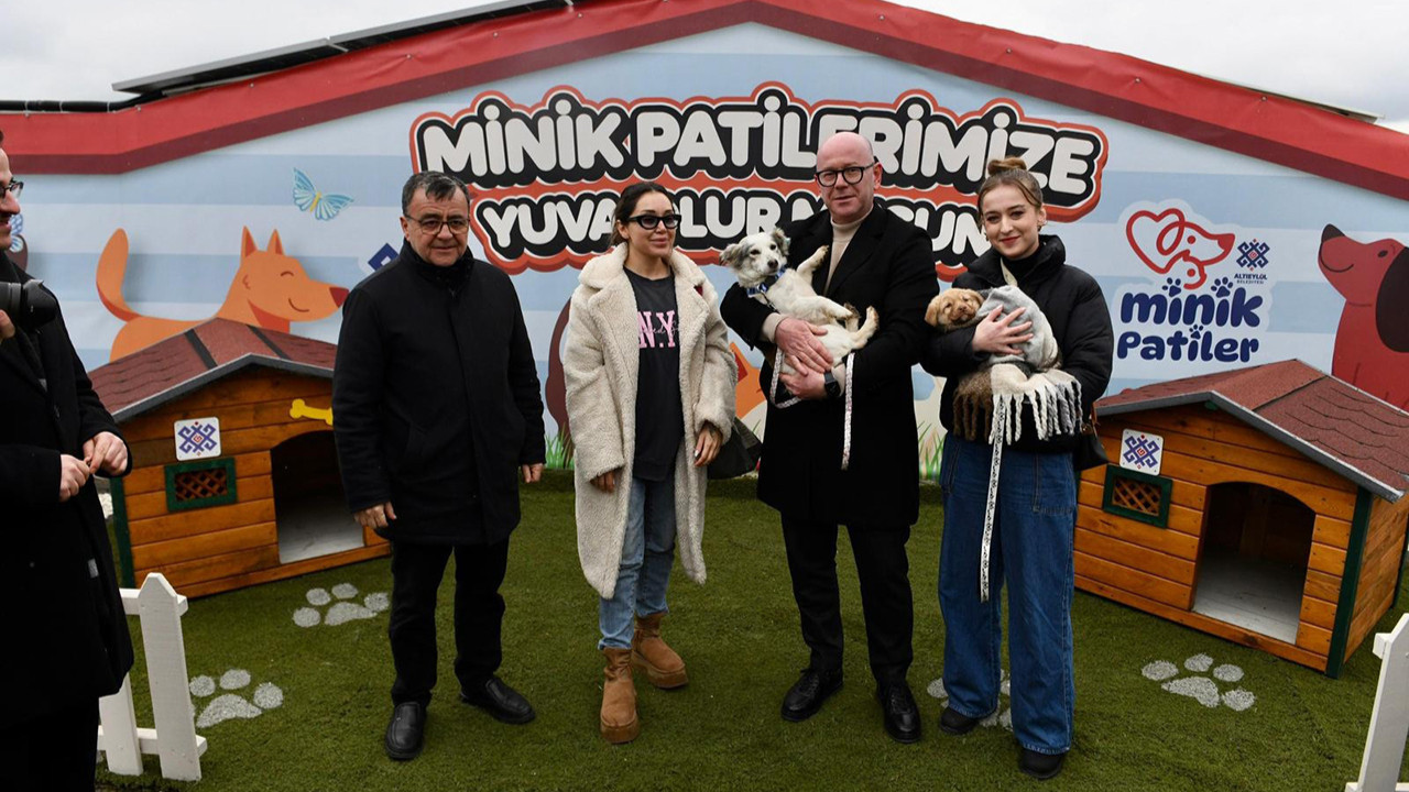 Altıeylül’de 228 can dost sıcak yuva bekliyor; satın almayın, sahiplenin