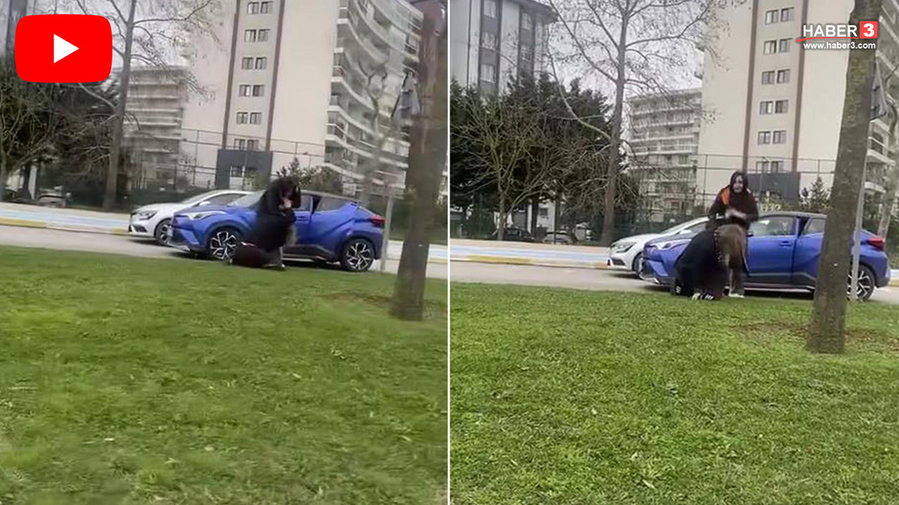 İstanbul'da pes dedirten olay: İki kadın çocuklarının gözü önünde birbirine girdi
