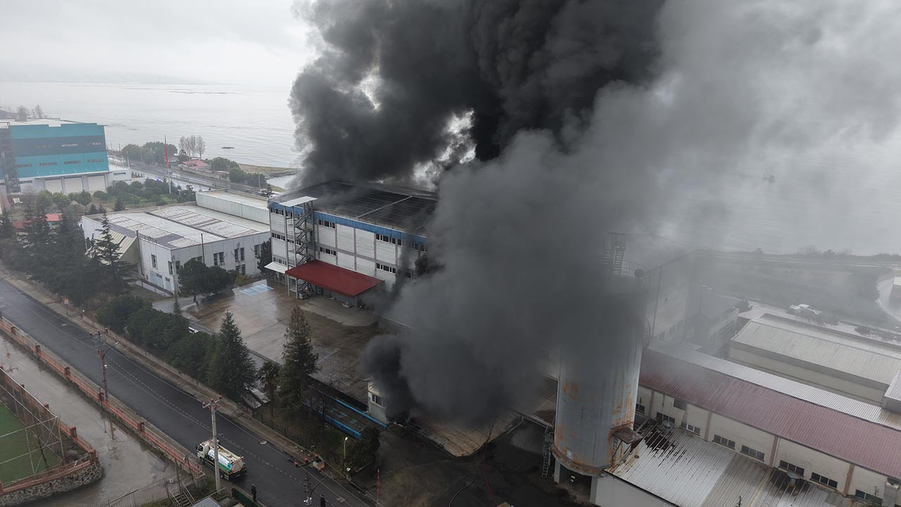 Trabzon'da fındık fabrikasında büyük yangın