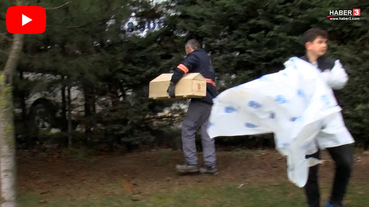 TEM otoyolunun kenarında yeni doğmuş bir bebek cesedi bulundu!