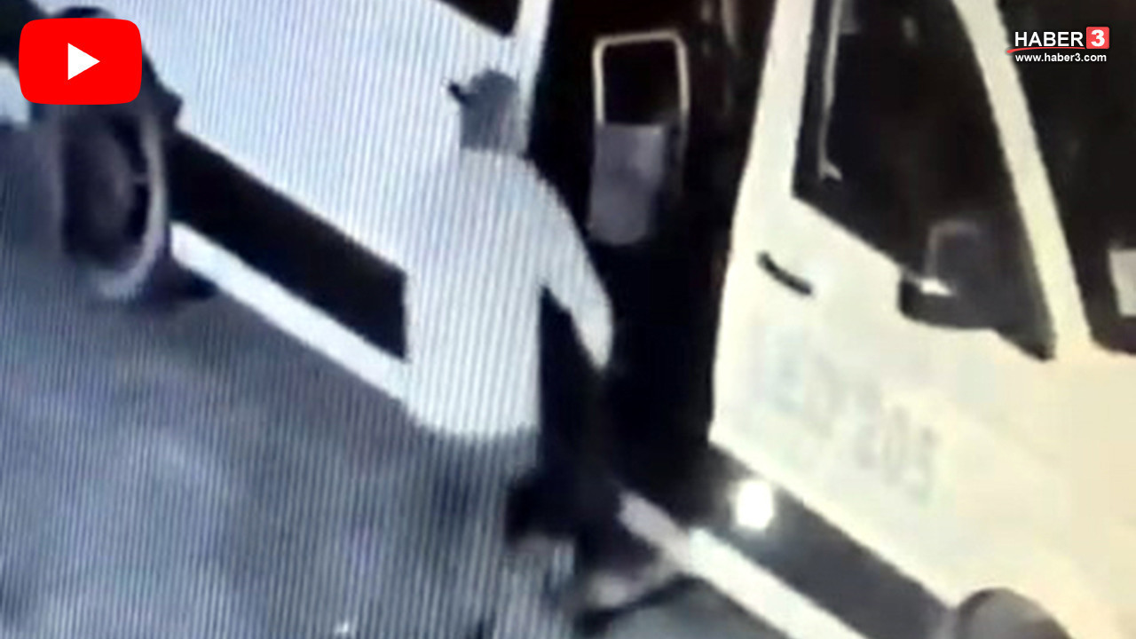 İstanbul'da mahallenin maskotunu çalan servis şoförü yakalandı