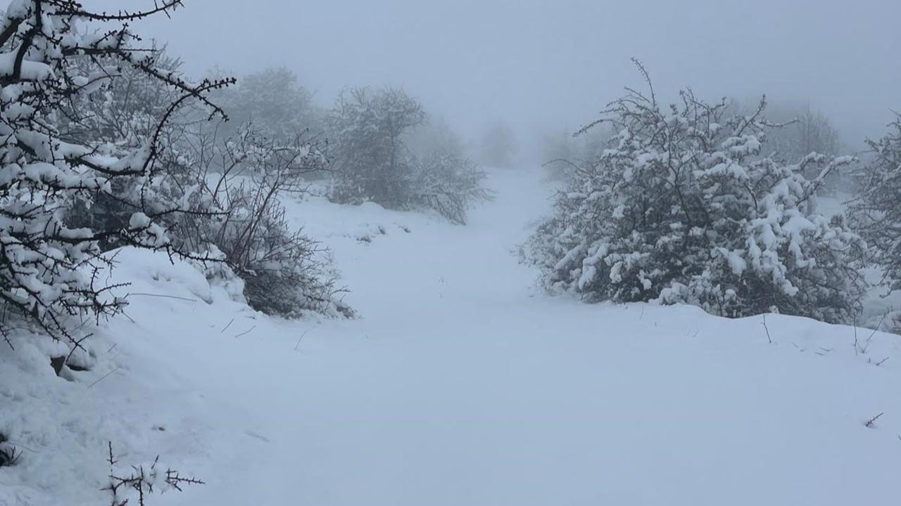 Bu kareler Türkiye'den! Baharı beklerken kara kış geri döndü