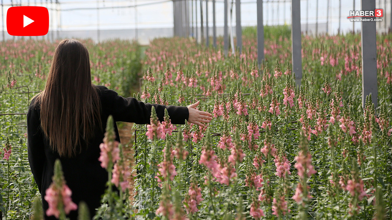 İlk kez yola çıktılar... Türkiye'den Avrupa'ya Asl…