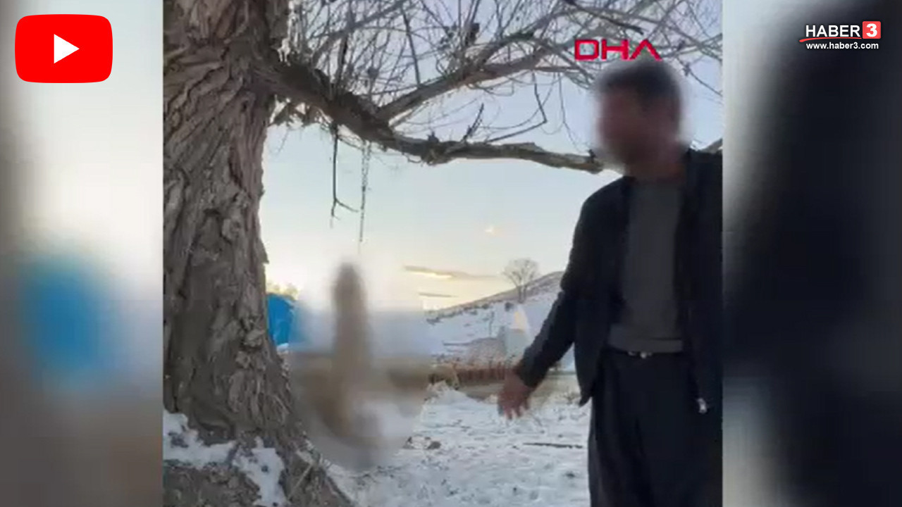 Yok böyle vahşet: Köpeğini ağaca asarak öldürdü, sözleri kan dondurdu!