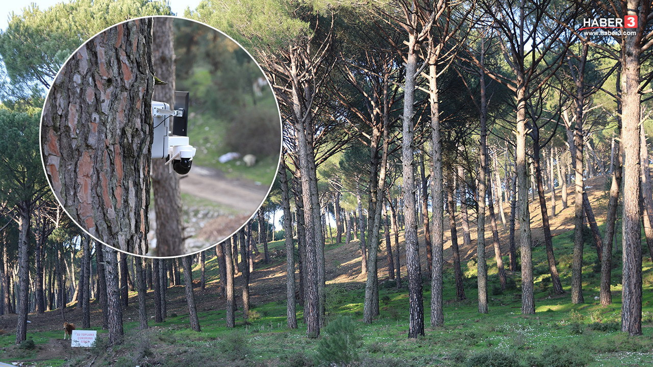Türkiye'nin en lezzetli beyaz altınında, kilo fiyatı 3 bin TL'ye yükselince 7/24 takip başladı!
