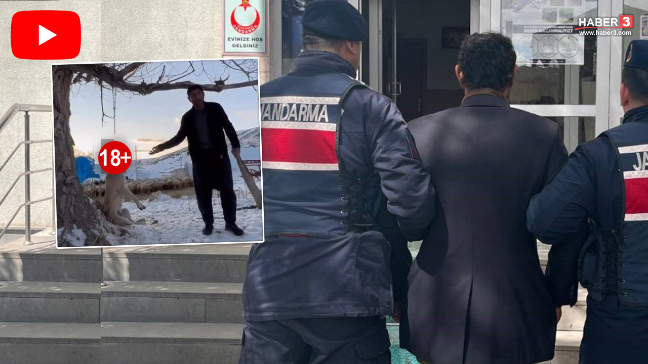 Kayseri’de insanlık dışı olay! ''Çok yemek yiyordu'' dediği köpeğini ağaca asarak öldürdü!
