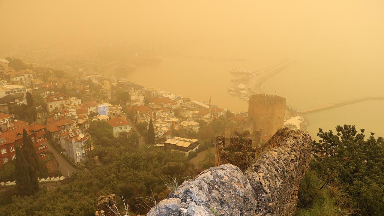 Kuzey Afrika'dan Türkiye'ye geldi; birçok ilimizi …