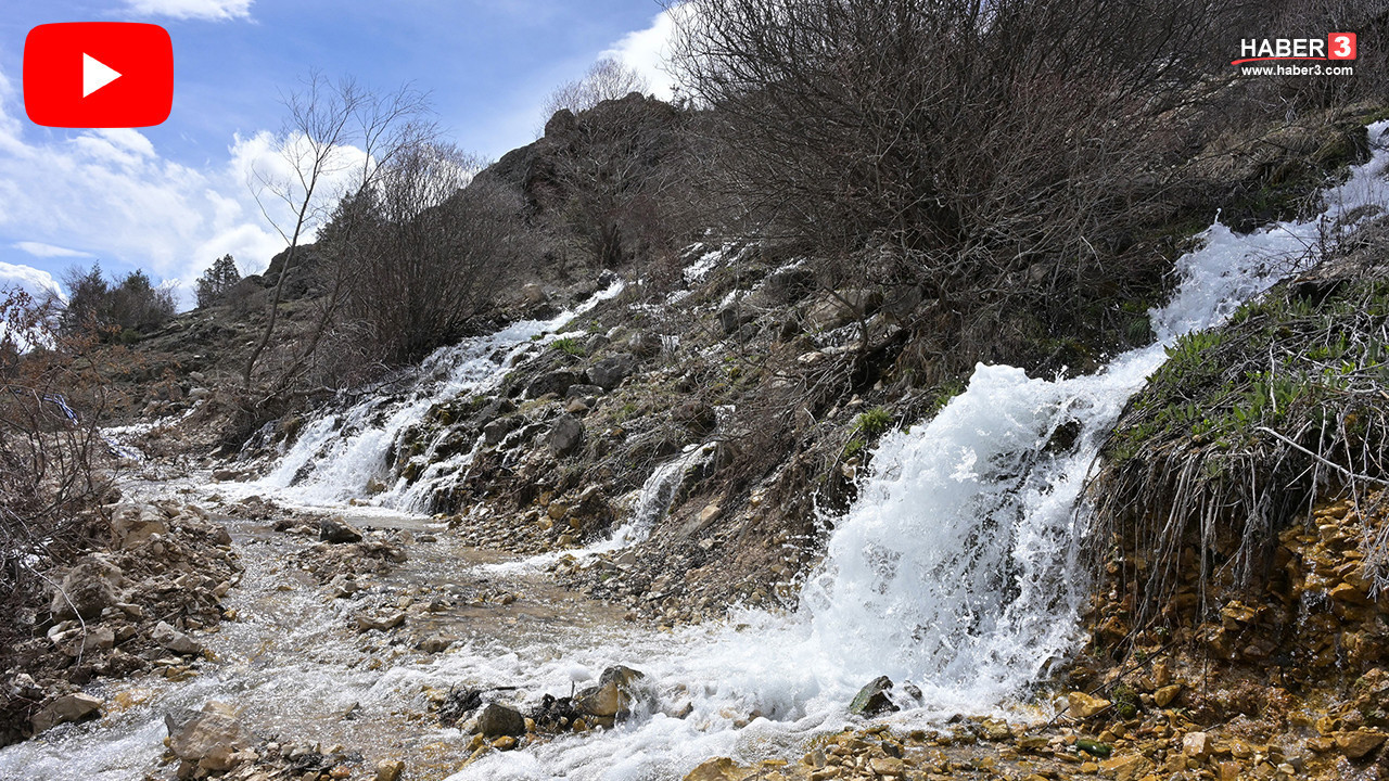 Karadeniz'in yeşil cennetinde esrarengiz olay! Sadece 15 gün gözüküyor ama sırrı çözülemiyor!