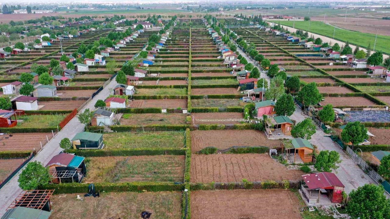 Tartışma yaratan bungalov düzenlemesinde Erdoğan devrede! Talimat verdi