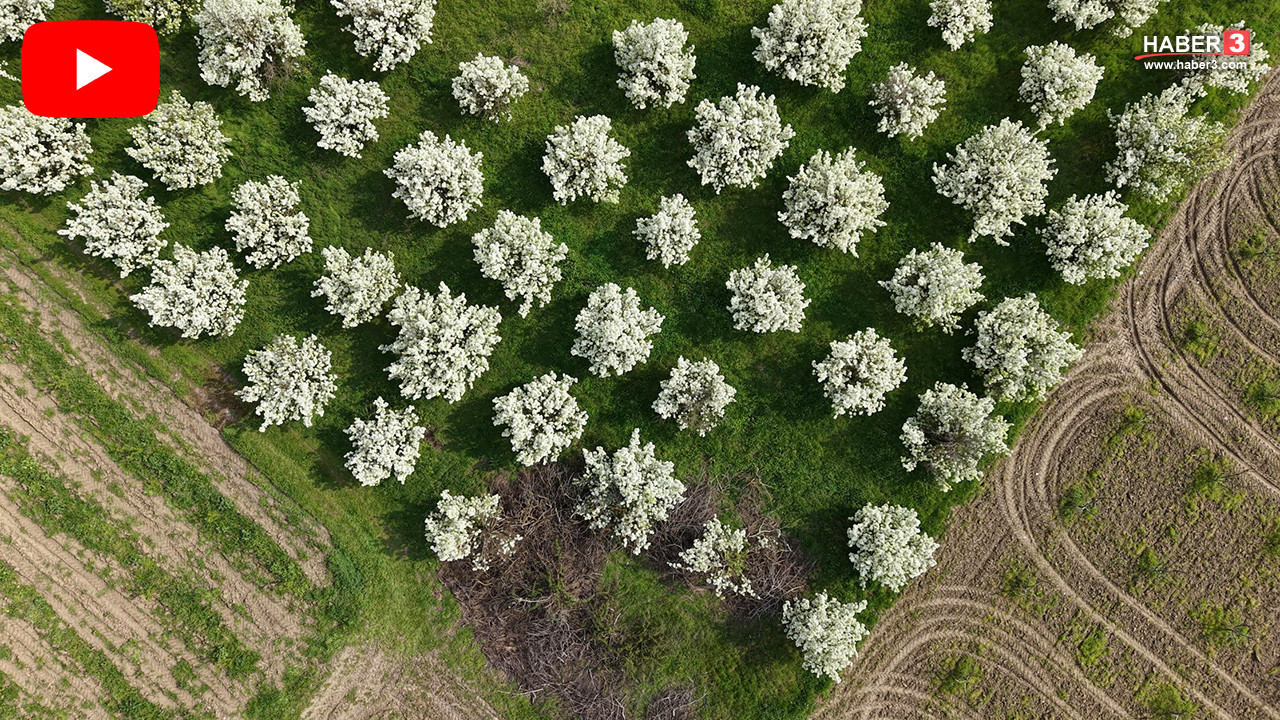 Marmara Bölgesi'nin cennetinden müjdeli haber görsel bir şölenle geldi!