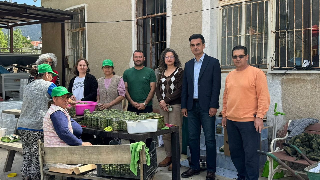 Muğla’da Kadın Üreticilerden Ekonomiye Katkı; Datça’da Çağla Turşusu Bereketi