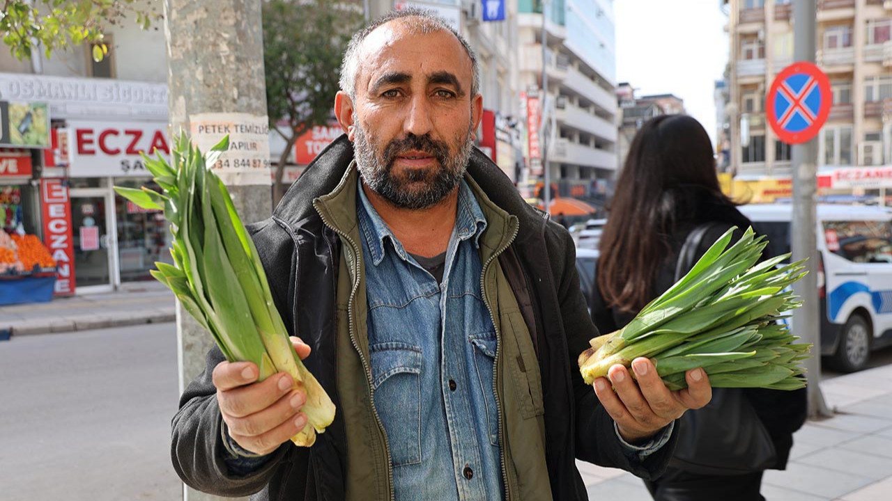 Dağlarda yetişen doğal antibiyotik tezgaha indi! Şeker, tansiyon ve kanser düşmanı