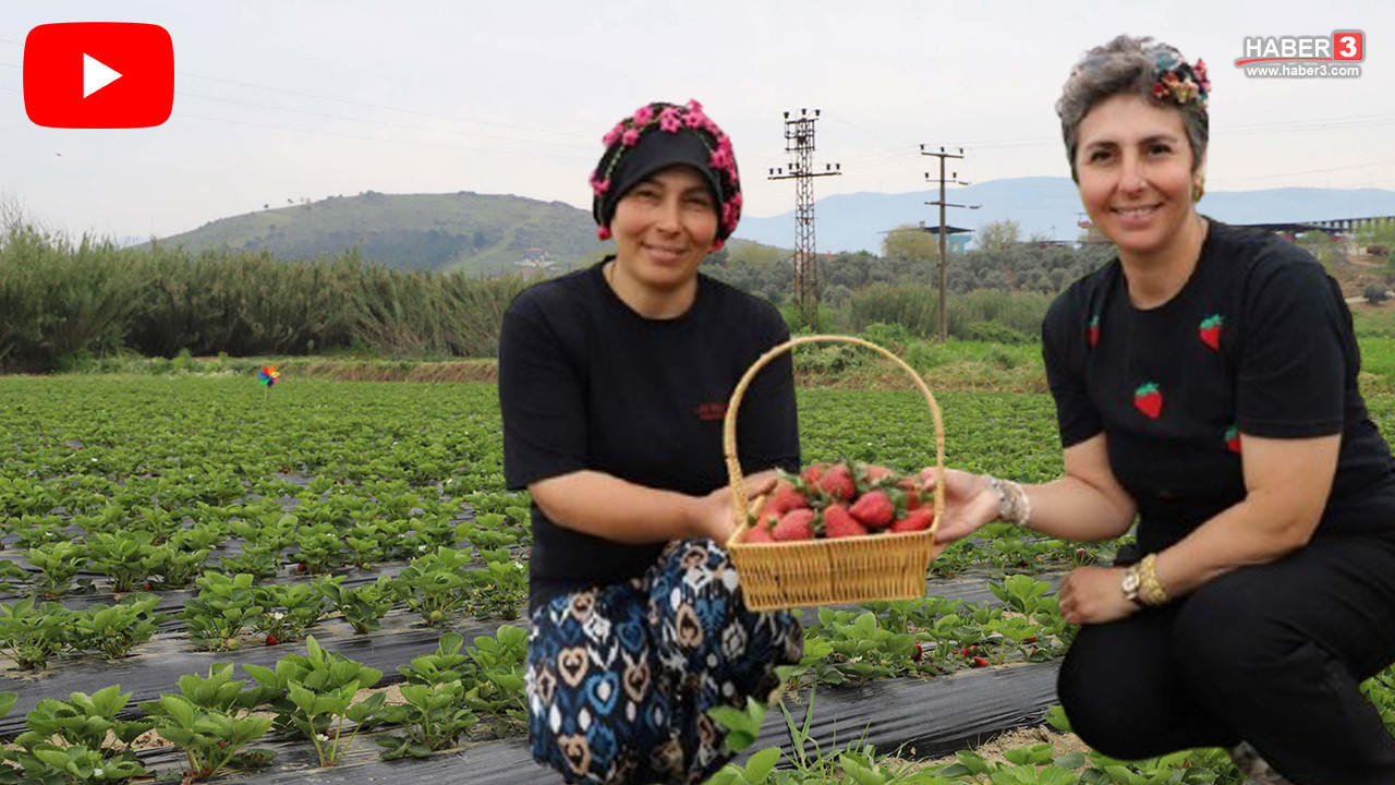 Türkiye'nin kadın girişimcilerini kendi işinin patronu yapan kırmızı altında hasat başladı!
