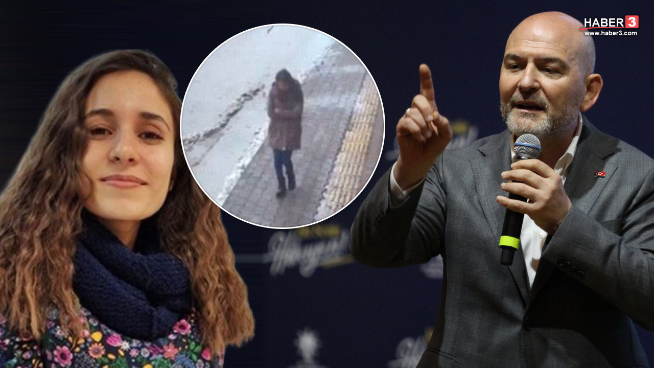 AK Partili Süleyman Soylu: Gülistan Doku için Cumhurbaşkanı Erdoğan'a sunum yaptım''