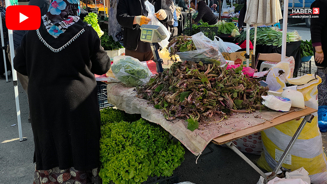 Doğada kendi kendine yetişen şifa kaynağı 100 TL'ye tezgaha indi! Faydaları saymakla bitmiyor