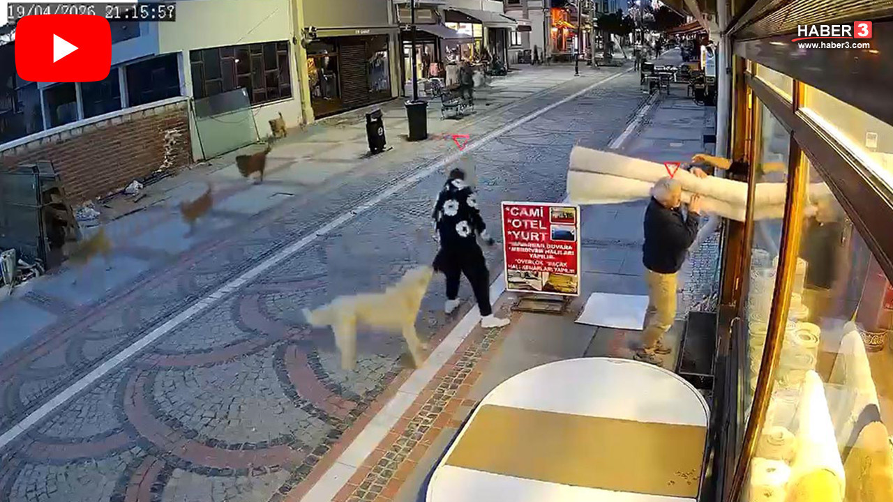 Yine başıboş sokak köpeği dehşeti: Canını zor kurtardı