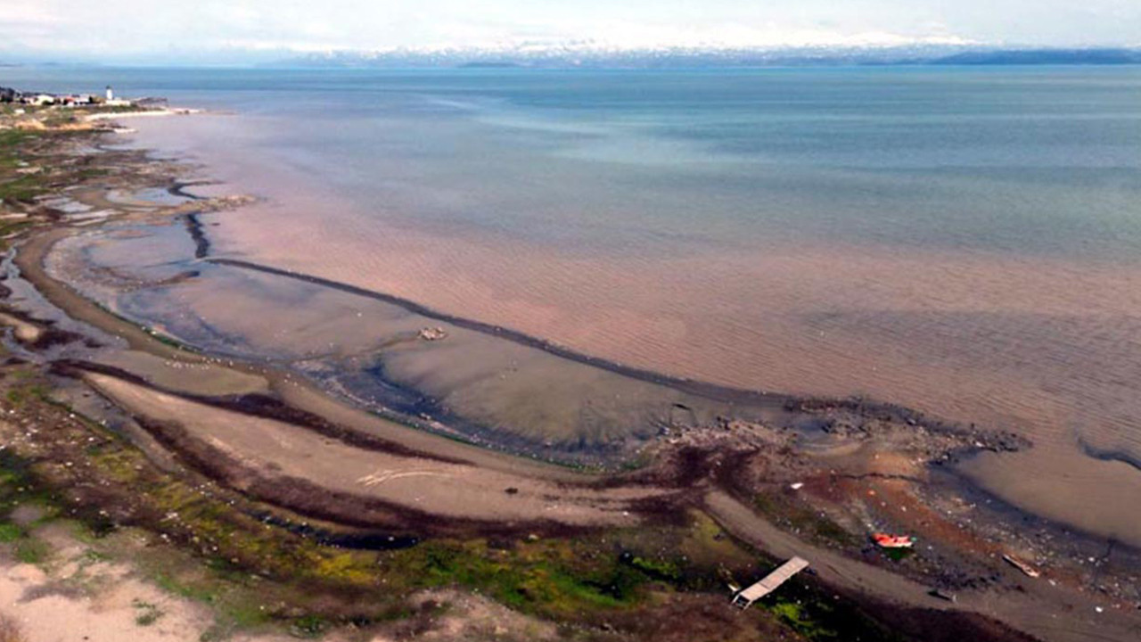 Van Gölü'nün kıyıları kahverengiye büründü