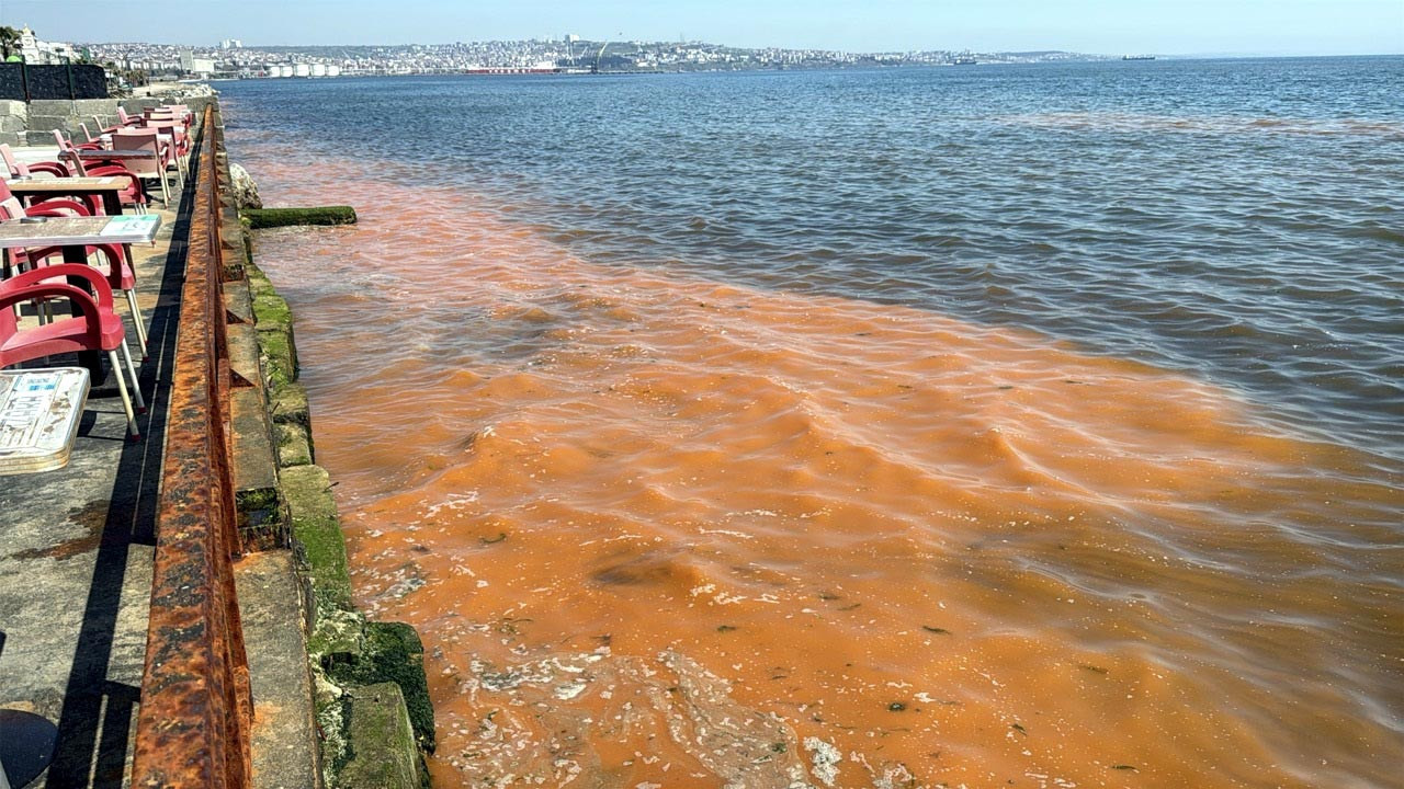 Marmara Denizi'nde renk değişimi: Sahil kesimi turuncuya büründü