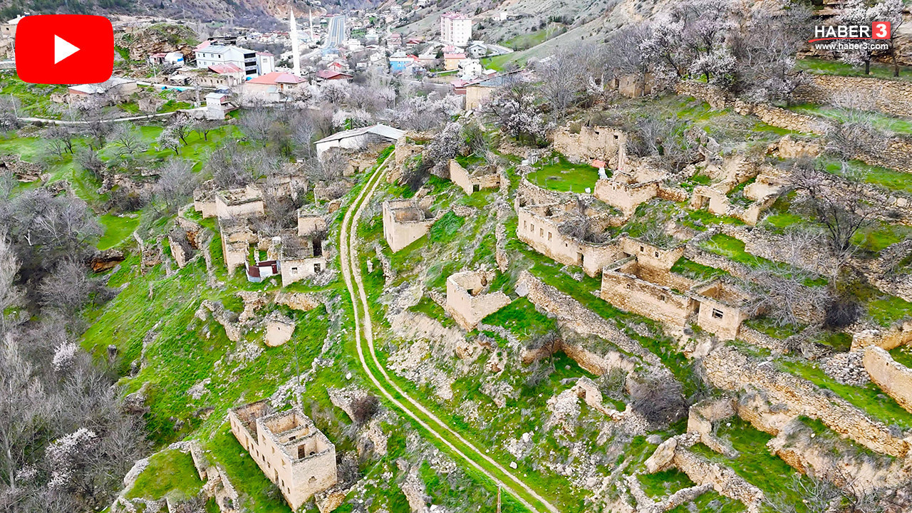 Gören Güneydoğu Anadolu sanıyor ama burası Karadeniz!