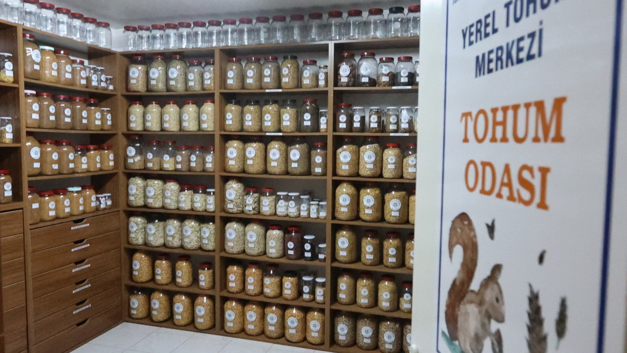 Muğla’nın Ata Tohumları Ülke Toprakları ile Buluşmaya Devam Ediyor