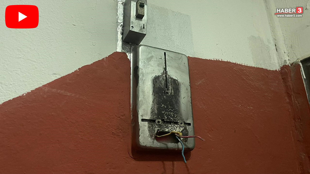 Hırsızlığın böylesini de ilk kez haber yapıyoruz; bu sefer öyle bir şey çaldılar ki...