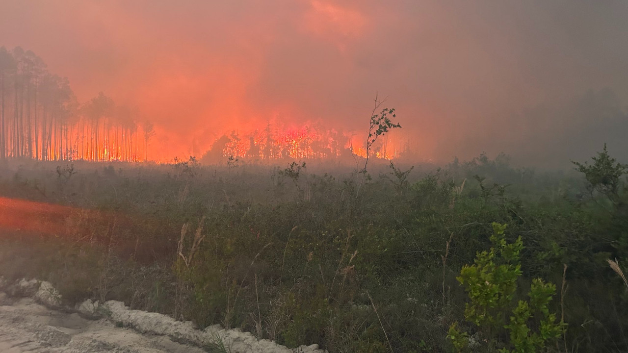 ABD'de orman yangını felaketi: Çok sayıda ev küle döndü