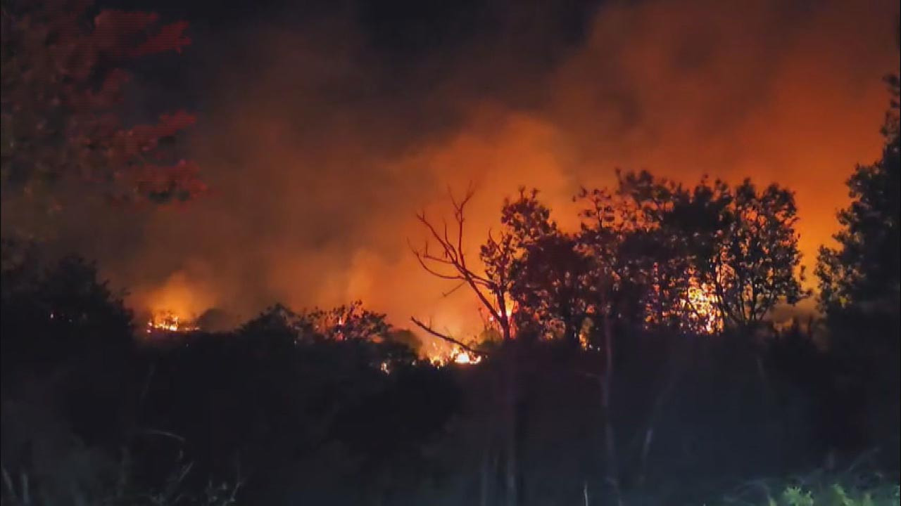 İstanbul'da orman yangını: Ciğerlerimiz alev alev yandı!