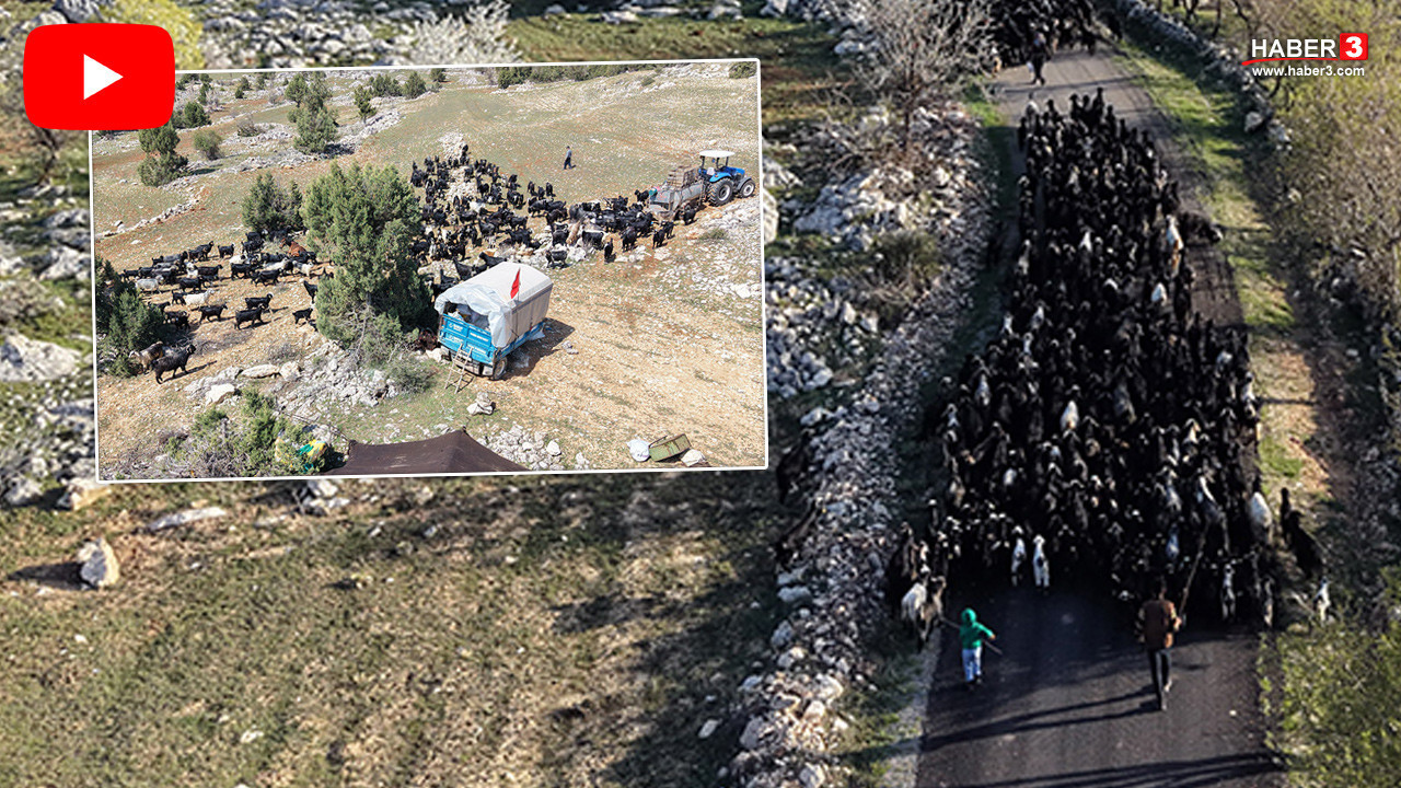 Türkiye'nin bin yıllık efsanevi kadim yolculuğu olan yörük göçü başladı