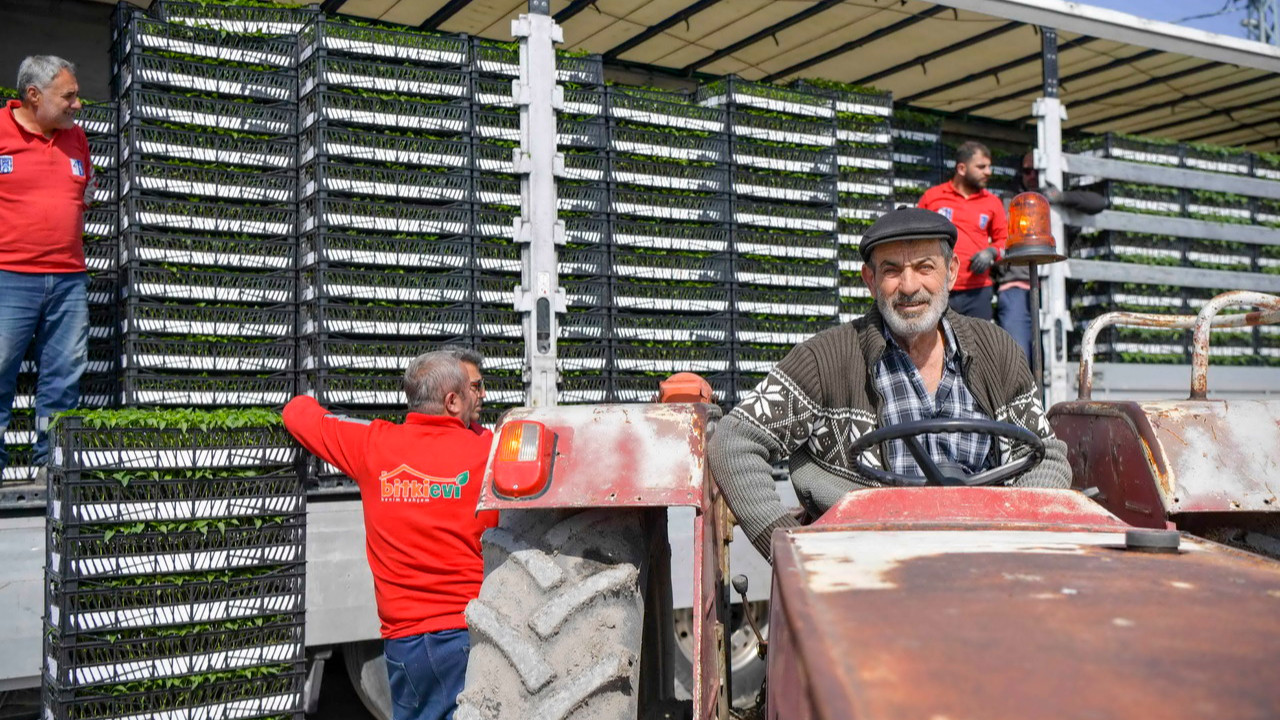 ABB'den 8 ilçede erkenci fide desteği: 268 çiftçiye toplamda 624 bin 120 adet erkenci sebze fidesi