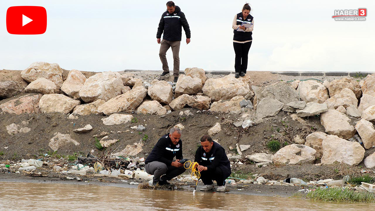 Dünya'da sadece Türkiye'de yaşayan eşsiz canlının göçü için 7/24 nöbet başladı!