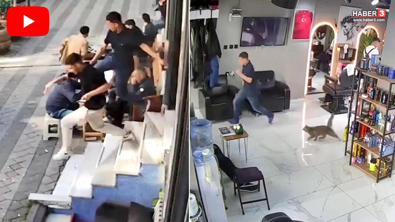 Psikopat kedi ortalığı birbirine kattı: O kovaladı, müşteriler kaçtı!
