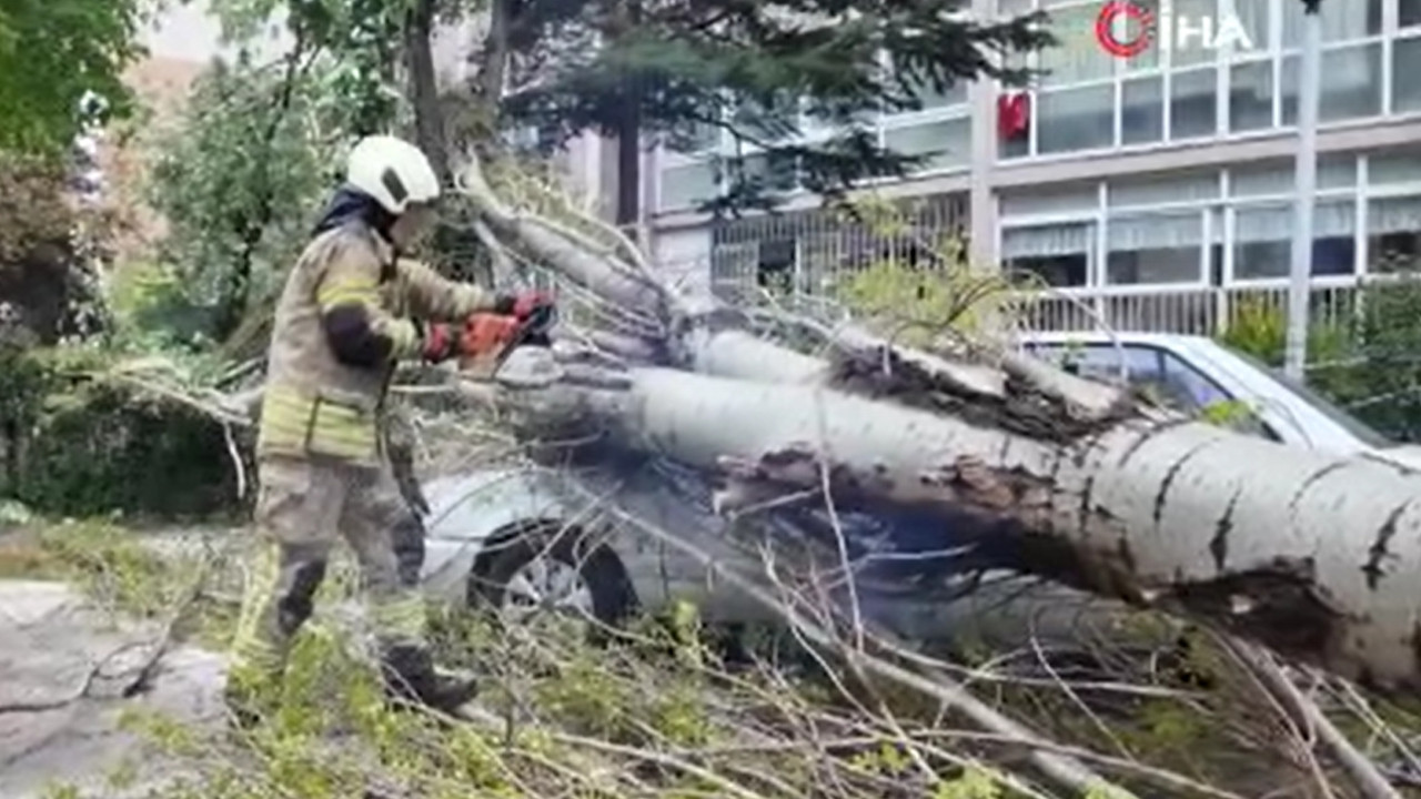 İstanbul'da ağaç deviren fırtına! Otomobili kağıt gibi ezdi