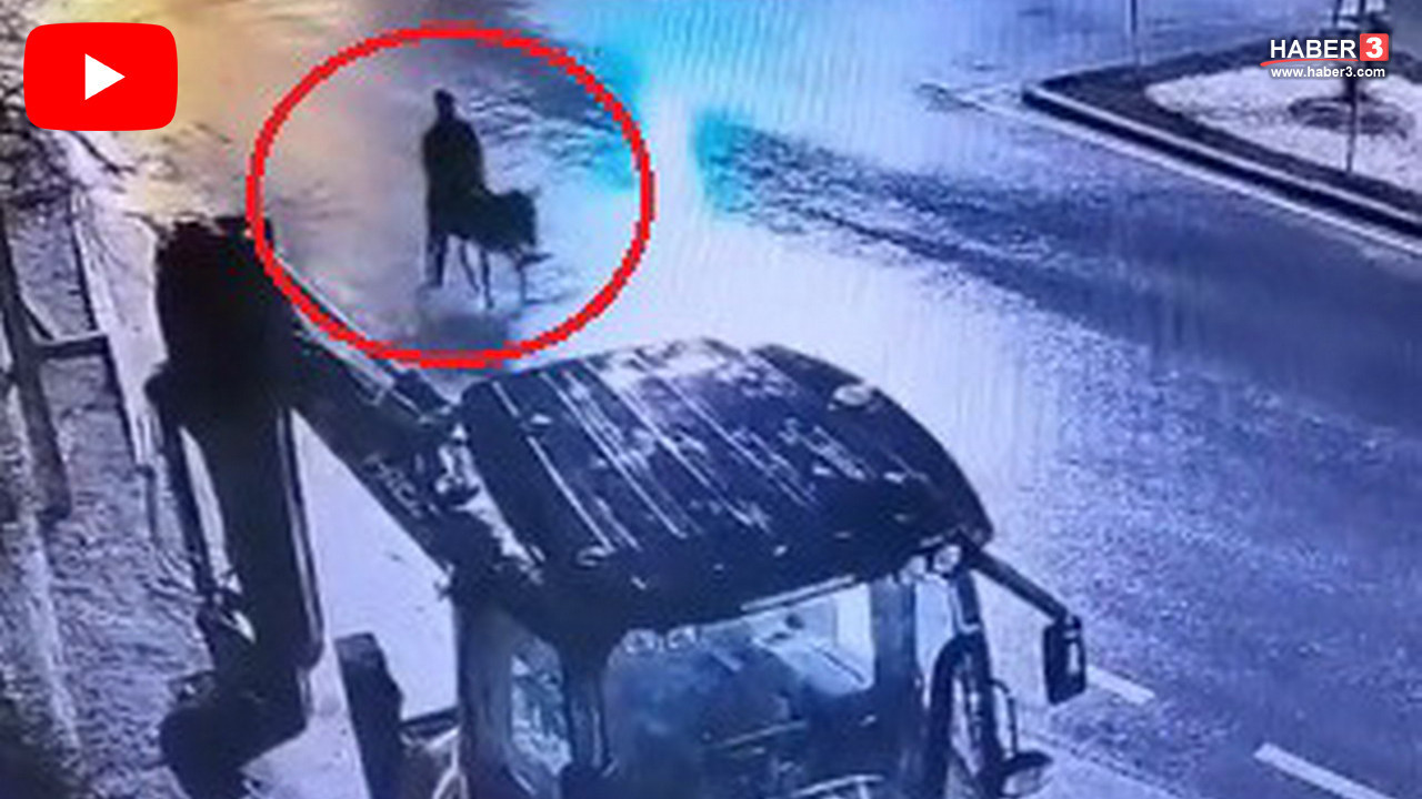 ''Pes'' dedirten soygun... Forkliftle soyup eşekle kaçmıştı, cezası belli oldu!