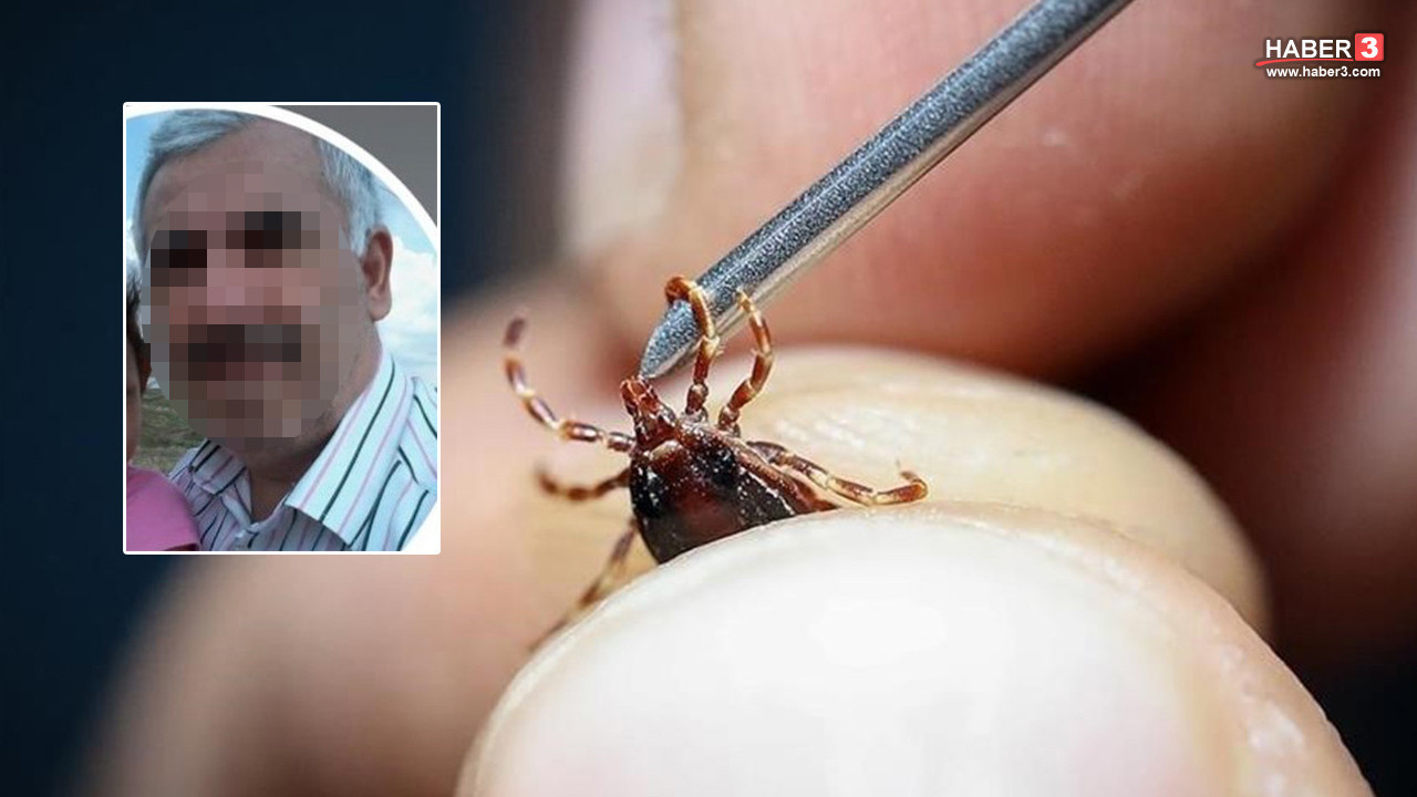 Yaz aylarının kabusu geri döndü: Kene bir can daha aldı