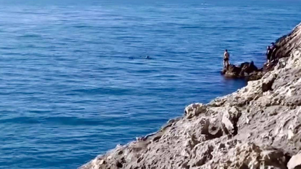 Karadeniz'de korku dolu anlar: 15 metre derinlikte baygın halde bulundu