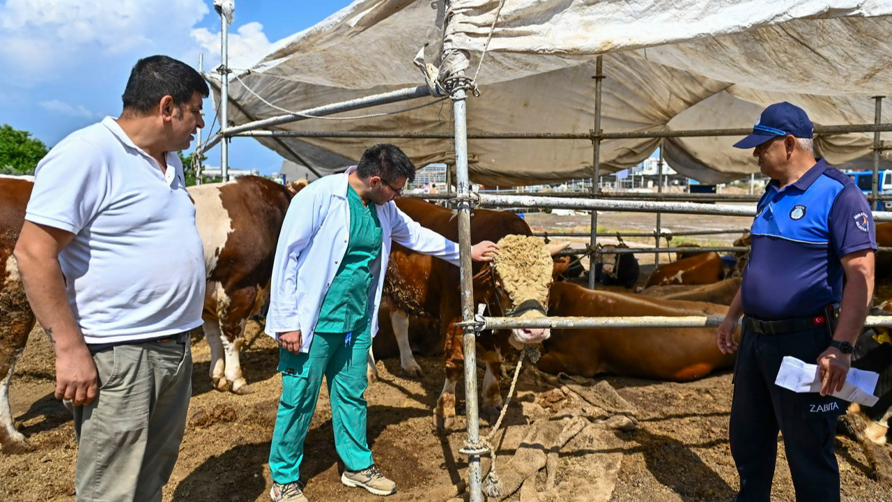Muratpaşa’da Kurban Bayramı hazırlıkları tamamlandı