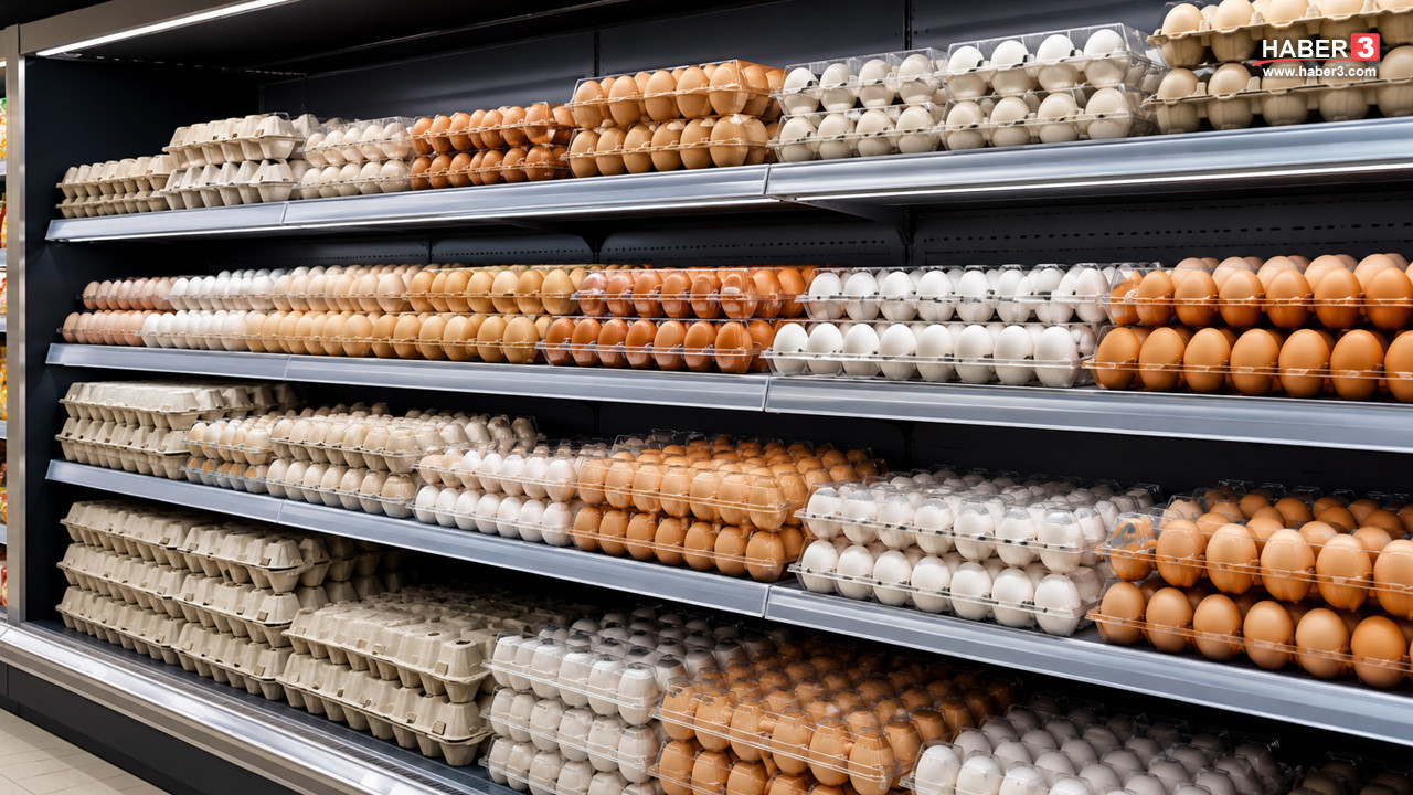 Yumurtada ''salmonella'' şoku: En az 300 kişi hastanelik oldu
