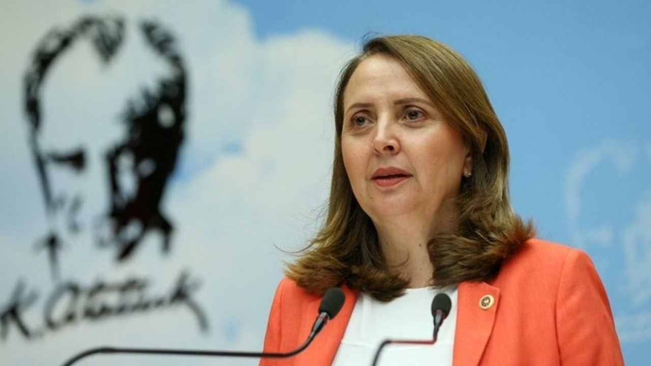 CHP'li Dinçer'den Altan Tan'a tepki: ''Bu, düpedüz nefret siyasetidir''