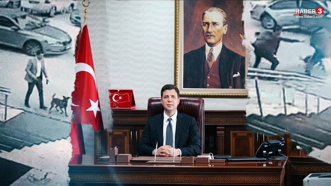 Kaymakam ve korumasına "sokak köpeğine tekme" soruşturması
