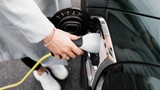 Türkiye'deki elektrikli otomobil kandırmacasına ceza yağdı!