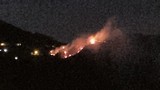 Giresun'da orman yangını